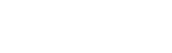Skyterra-YA-logo-white